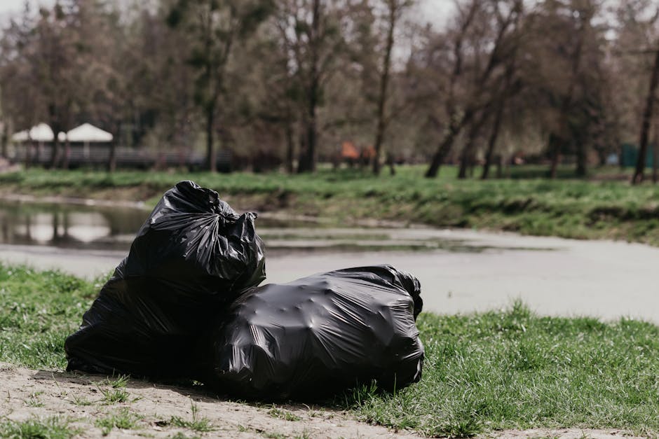 Two black trash bags made of glossy plastic sit on a patch of grass near a riverbank, with one bag leaning against the other. The bags appear to be filled with waste, with crumpled and gathered material visible through their slightly wrinkled surfaces. In the background, a calm river flows gently, with reflections on the water's surface, surrounded by a natural park setting featuring leafless trees and distant park structures, possibly gazebos or pavilion tents. The scene is illuminated by natural daylight, suggesting an overcast sky that softens shadows and highlights the textures of the grass, bags, and water. The presence of the bags near the water's edge indicates private or independent waste disposal efforts, typical of rubbish clearance activities outside municipal collection points. The image conveys a straightforward view of environmentally conscious rubbish removal, supported by local services like Rubbish Clearance Bow, in a riverside setting suitable for waste collection and disposal from riverside homes or outdoor areas.